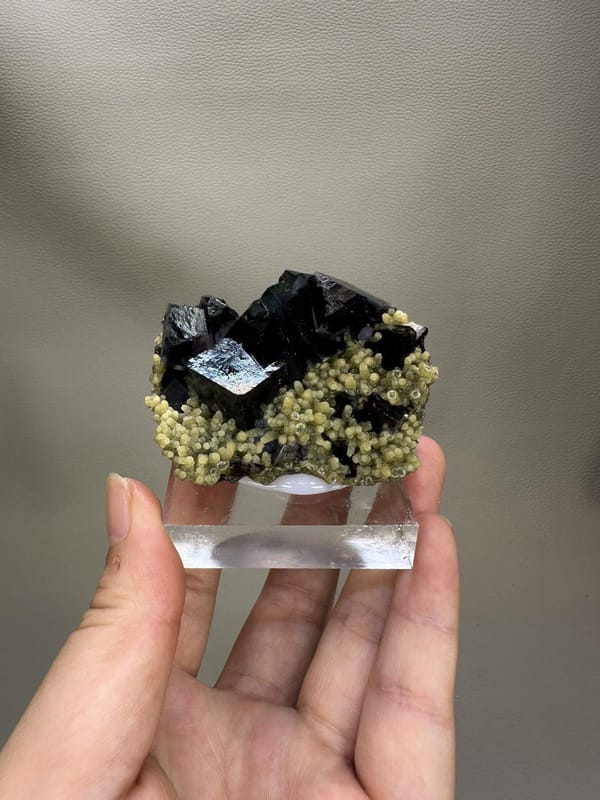 Phantom Fluorite Cube | Natural Green Cubic Fluorite | Inner Mongolia China | Collector Mineral Specimen