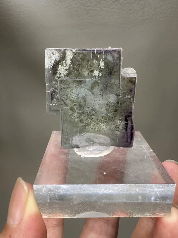 Fluorite Crystal Thumbnail | Natural Green Fluorite | Yaogangxian Mine China | Collector Mineral Specimen