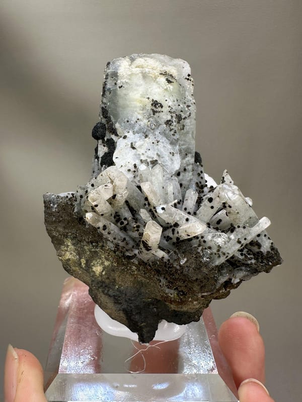 Quartz with Calcite Crystal Cluster | Natural Mineral Specimen | Inner Mongolia China | Collector Crystal
