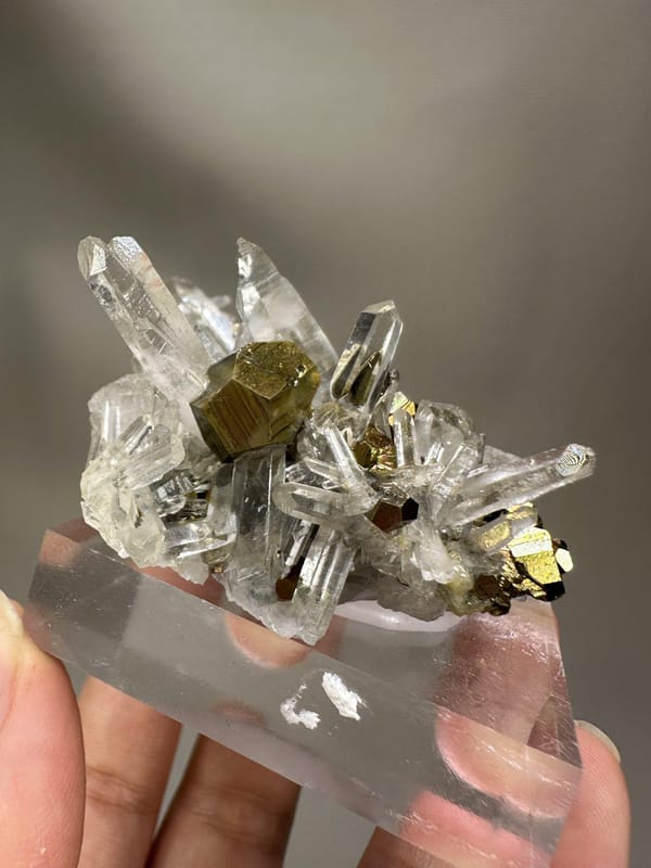 Quartz with Iridescent Pyrite | Natural Rainbow Pyrite Crystal | India Mineral Specimen | Collector