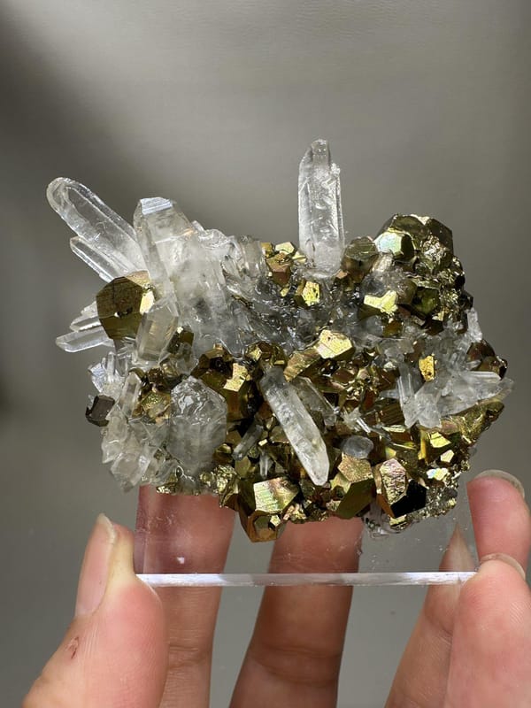 Quartz with Iridescent Pyrite | Natural Rainbow Pyrite Crystal | India Mineral Specimen | Collector