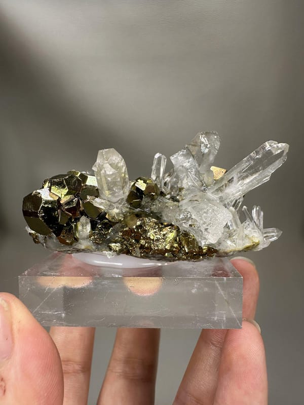 Quartz with Iridescent Pyrite | Natural Rainbow Pyrite Crystal | India Mineral Specimen | Collector