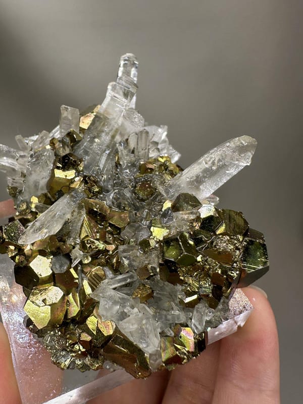 Quartz with Iridescent Pyrite | Natural Rainbow Pyrite Crystal | India Mineral Specimen | Collector