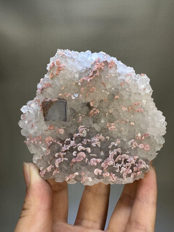 Quartz with Rhodochrosite & Fluorite | Natural Pink Mineral | Wuzhou Guangxi China | Crystal Specimen