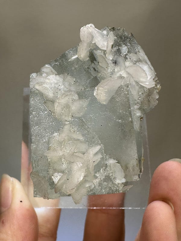 Fluorite with Calcite | Natural Green Fluorite Combination | Yaogangxian China | Mineral Specimen