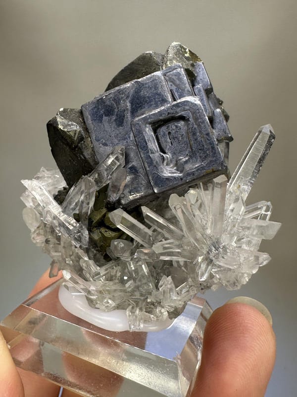 Galena with Quartz Crystal | Natural Metallic Galena | Rare Collector Mineral Specimen