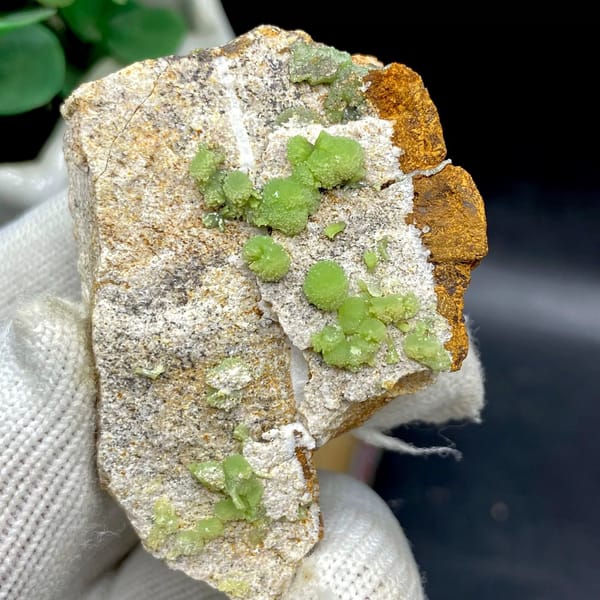 Apple-green pyromorphite balls on pale sandstone plate from Guangxi, China, view 7 of 9