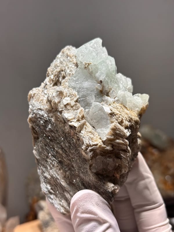 Mica block with pale green aquamarine crystals from Xuebaoding, Sichuan, China, held in gloved hand