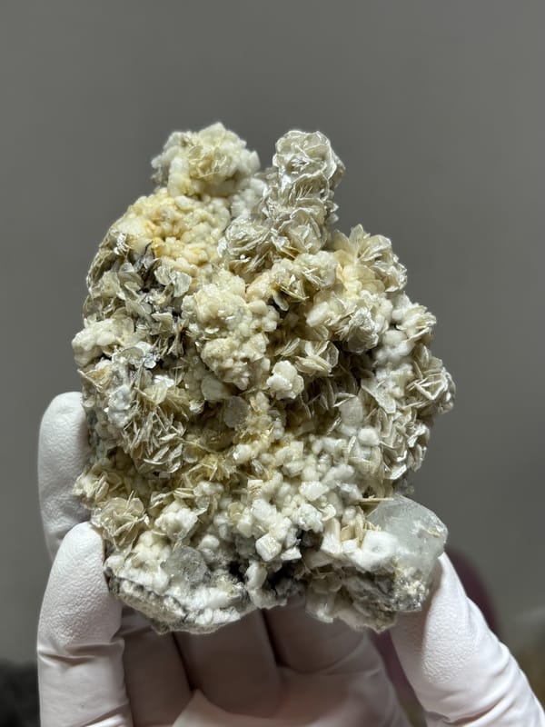 Plate of tan mica with small aquamarine crystals from Xuebaoding, Sichuan, China, held in gloved hand