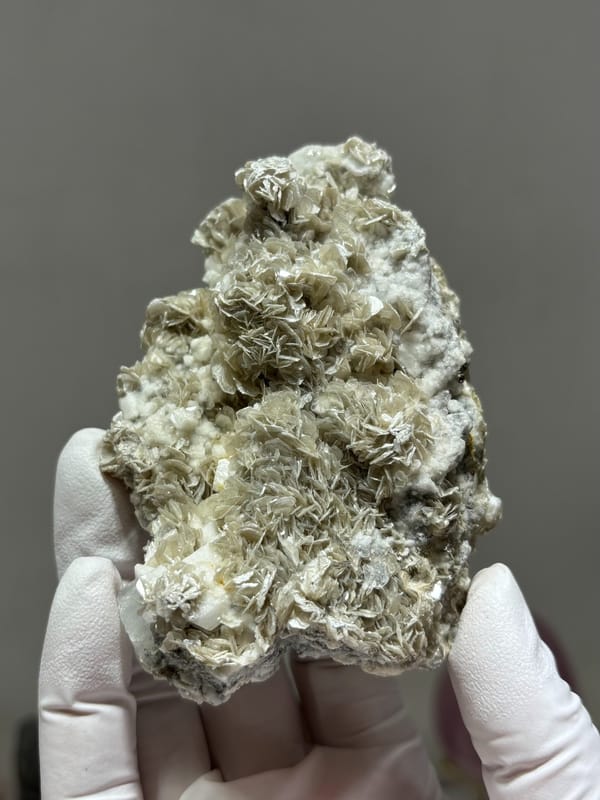 Plate of tan mica with small aquamarine crystals from Xuebaoding, Sichuan, China, close-up of the crystal faces