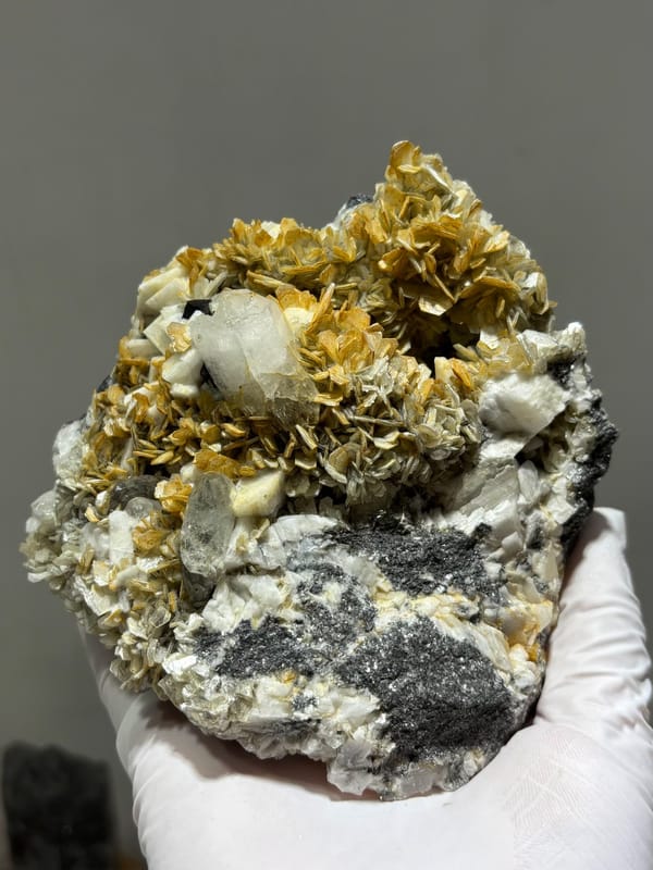 Golden mica and aquamarine cluster with cassiterite and quartz from Xuebaoding, Sichuan, China, held in gloved hand