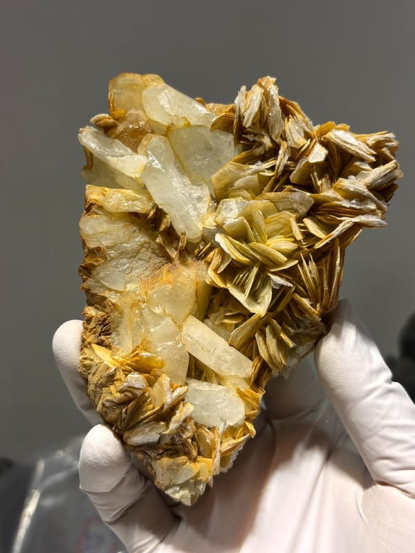 Golden mica plate with aquamarine and scheelite from Xuebaoding, Sichuan, China, view 4 of 6
