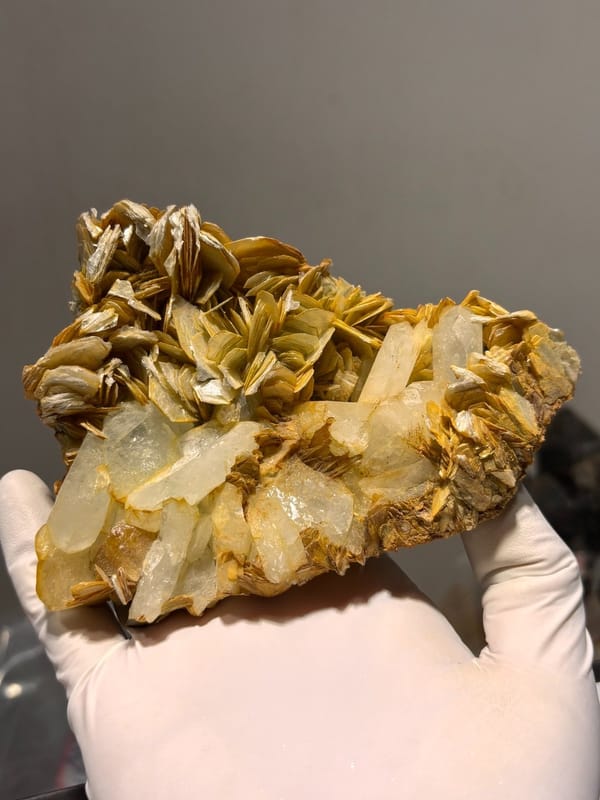 Golden mica plate with aquamarine and scheelite from Xuebaoding, Sichuan, China, view 5 of 6