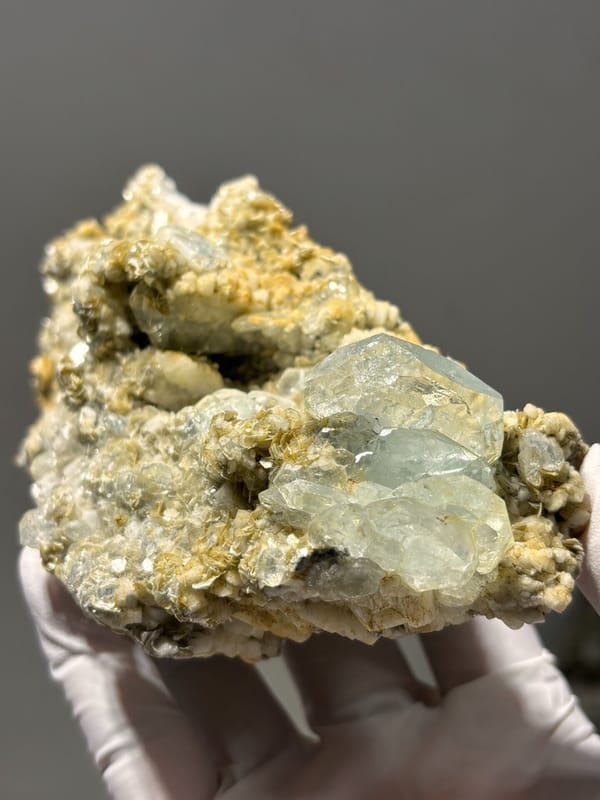 Mica plate with many aquamarine crystals from Xuebaoding, Sichuan, China, held in gloved hand