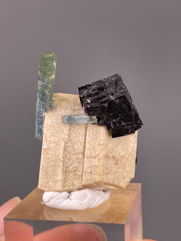 Aquamarine specimen featuring pale-blue beryl crossing black schorl clearly