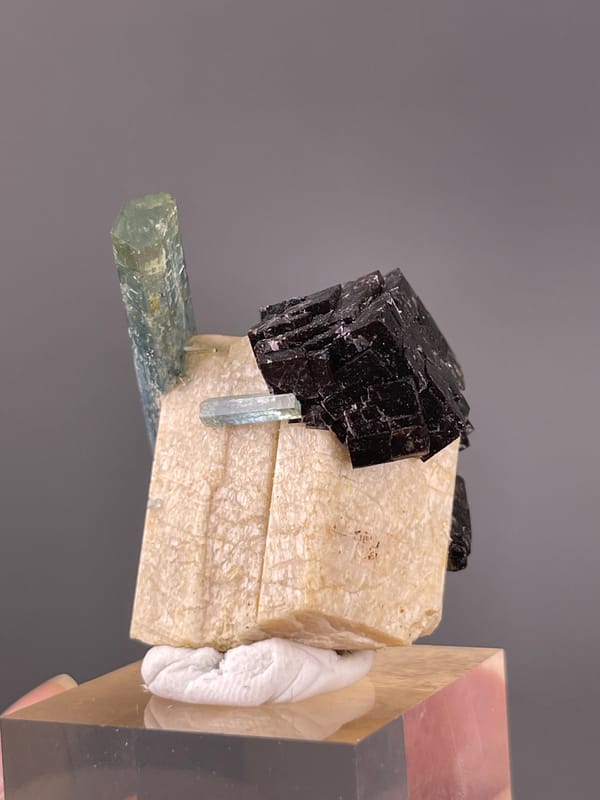 Aquamarine specimen showing pale-blue beryl crossing black schorl distinctly