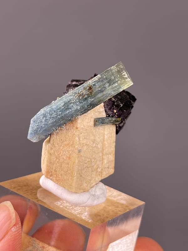 Aquamarine specimen presenting pale-blue beryl crossing black schorl clearly