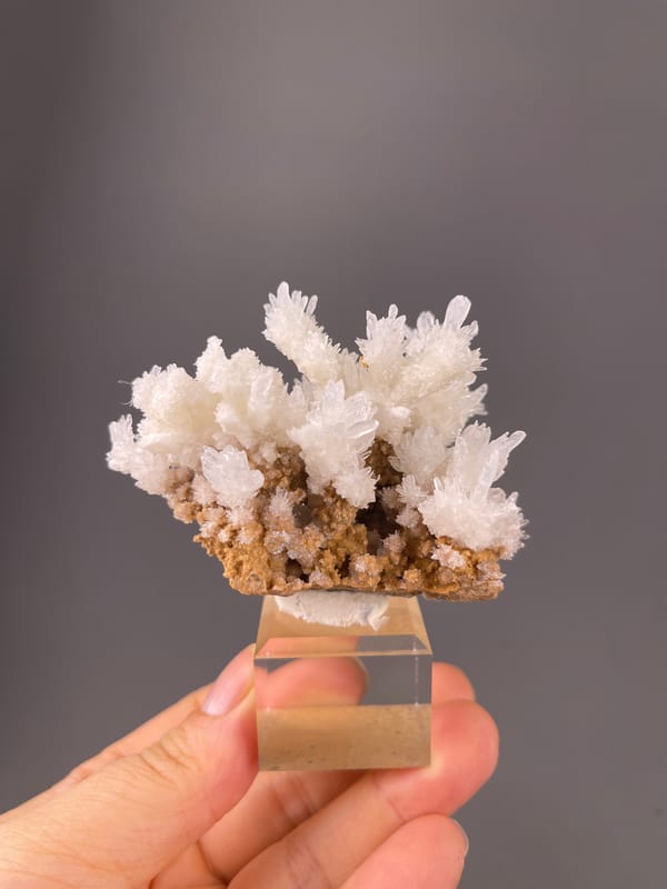 Aragonite Crystal Spray specimen from Yunnan, China featuring white branching crystal sprays