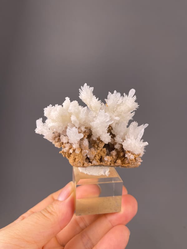 Aragonite Crystal Spray specimen from Yunnan, China showing white branching crystal sprays
