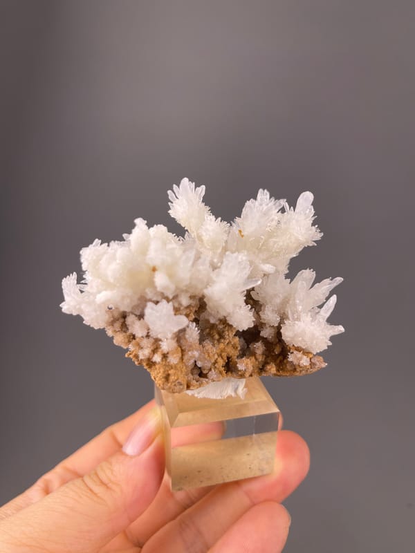 Aragonite Crystal Spray specimen from Yunnan, China, defined by white branching crystal sprays