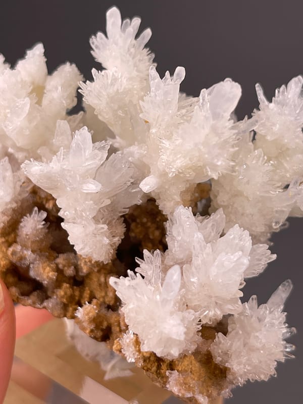 Aragonite Crystal Spray specimen from Yunnan, China displaying white branching crystal sprays