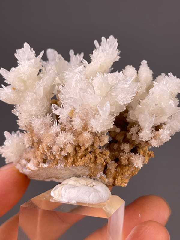 Aragonite Crystal Spray specimen from Yunnan, China highlighting white branching crystal sprays