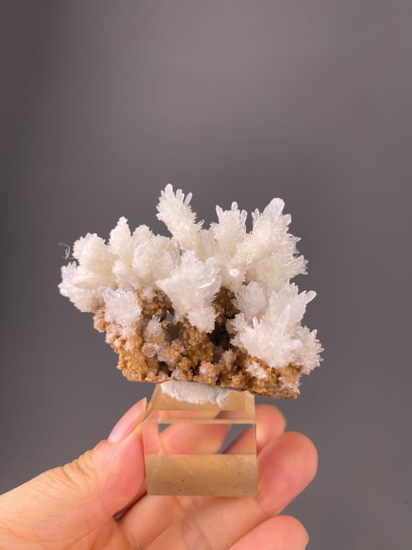 Aragonite Crystal Spray specimen from Yunnan, China, characterized by white branching crystal sprays