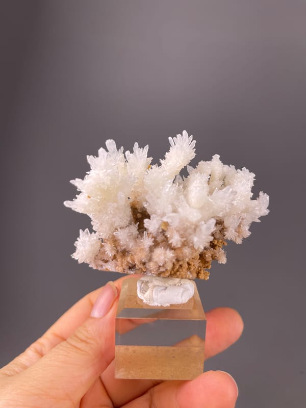 Aragonite Crystal Spray specimen from Yunnan, China bearing white branching crystal sprays
