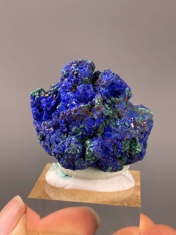 Azurite specimen from Democratic Republic of the Congo featuring royal-blue azurite with green malachite