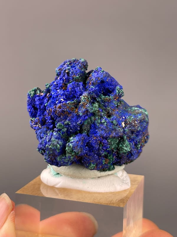 Azurite specimen from Democratic Republic of the Congo showing royal-blue azurite with green malachite