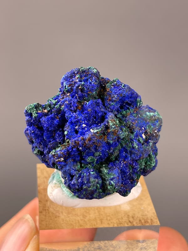 Azurite specimen from Democratic Republic of the Congo presenting royal-blue azurite with green malachite