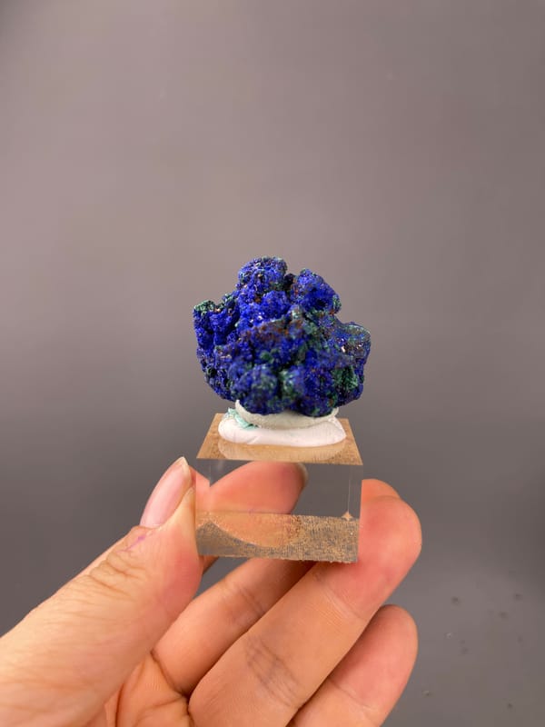 Royal-blue azurite with green malachite visible on azurite specimen from Democratic Republic of the Congo