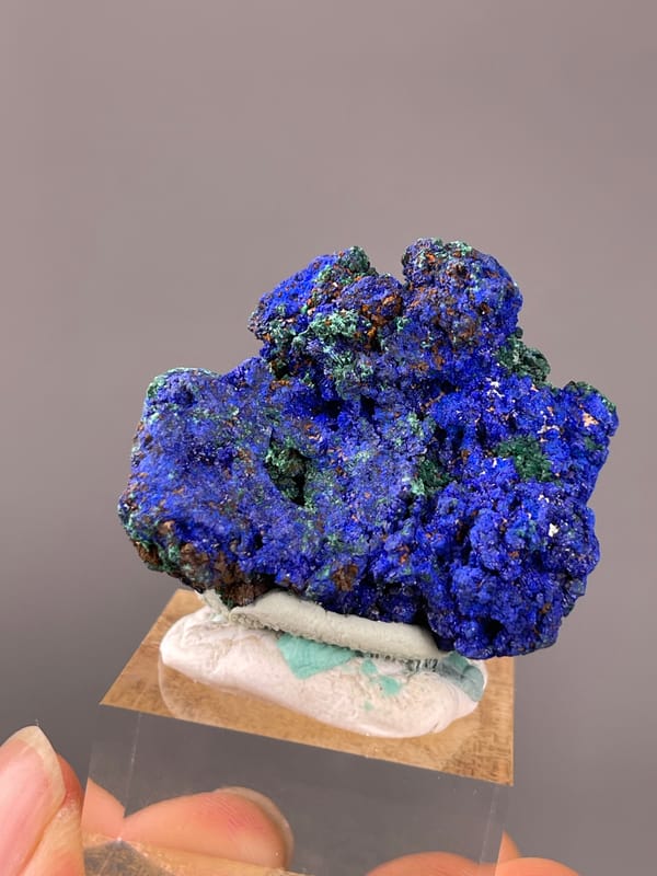 Azurite specimen from Democratic Republic of the Congo displaying royal-blue azurite with green malachite