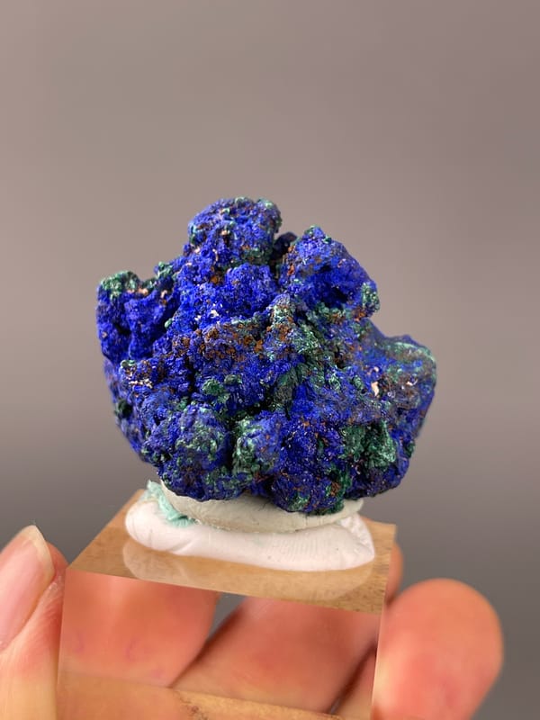 Azurite specimen from Democratic Republic of the Congo, characterized by royal-blue azurite with green malachite