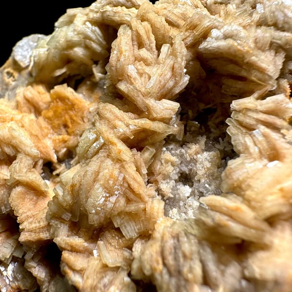 Tan bladed baryte rosettes on pale matrix plate from Jiangxi, China, view 2 of 11