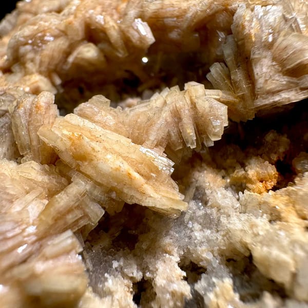 Tan bladed baryte rosettes on pale matrix plate from Jiangxi, China, view 3 of 11