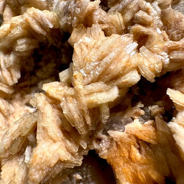 Tan bladed baryte rosettes on pale matrix plate from Jiangxi, China, view 4 of 11