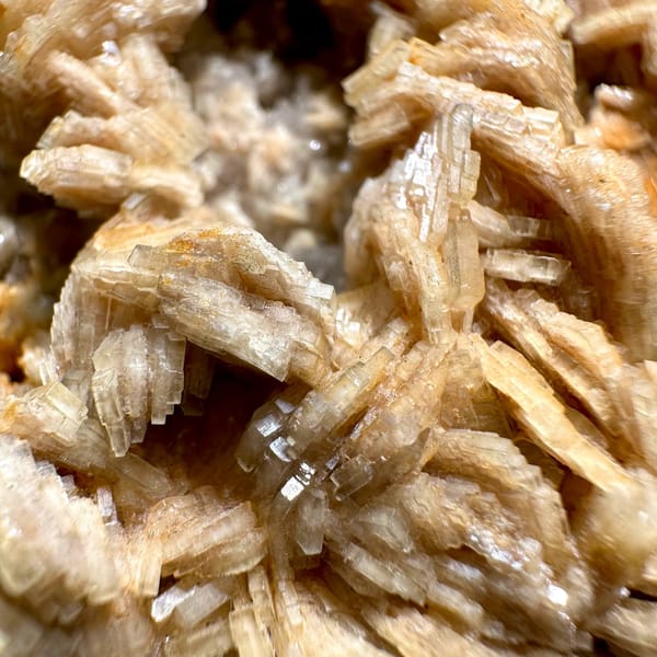 Tan bladed baryte rosettes on pale matrix plate from Jiangxi, China, view 5 of 11