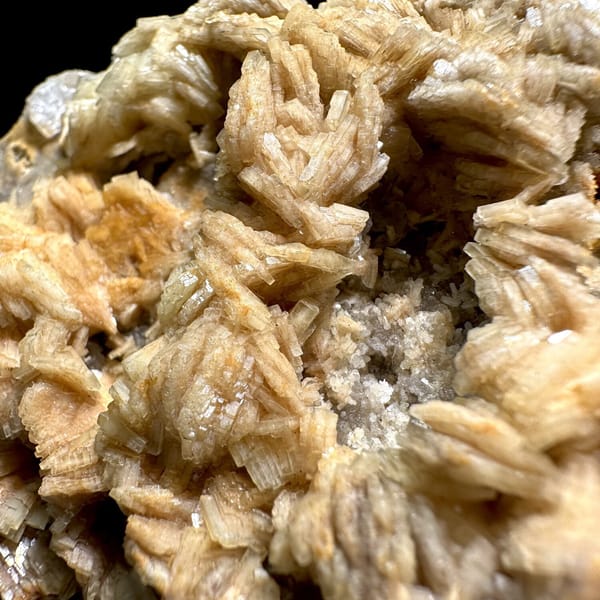 Tan bladed baryte rosettes on pale matrix plate from Jiangxi, China, view 7 of 11