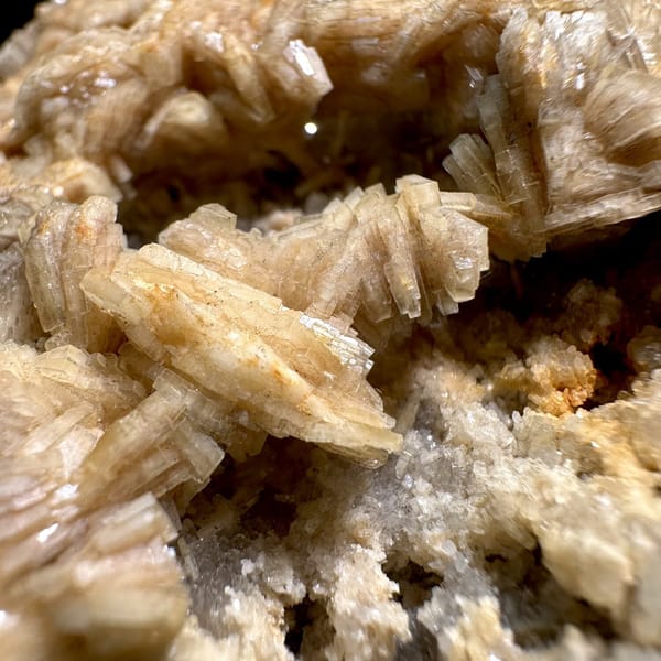 Tan bladed baryte rosettes on pale matrix plate from Jiangxi, China, view 8 of 11