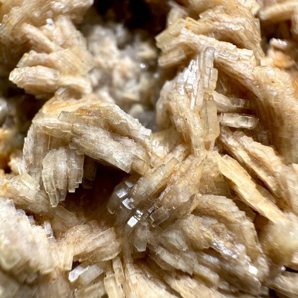 Tan bladed baryte rosettes on pale matrix plate from Jiangxi, China, view 9 of 11