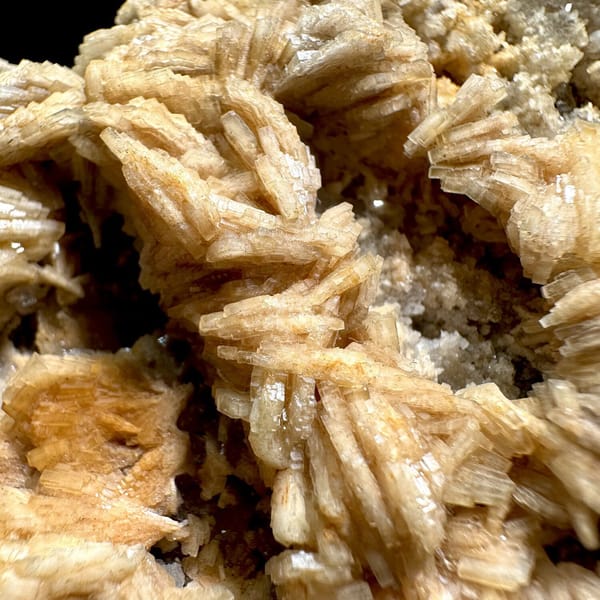 Tan bladed baryte rosettes on pale matrix plate from Jiangxi, China, view 11 of 11