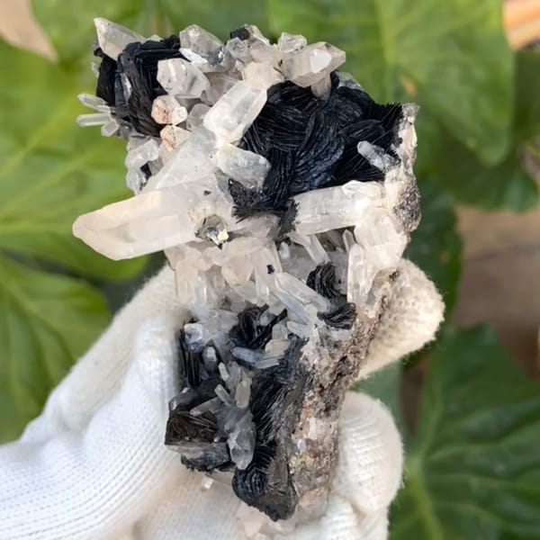 Black specular hematite rosettes with clear quartz prisms from Guangdong, China