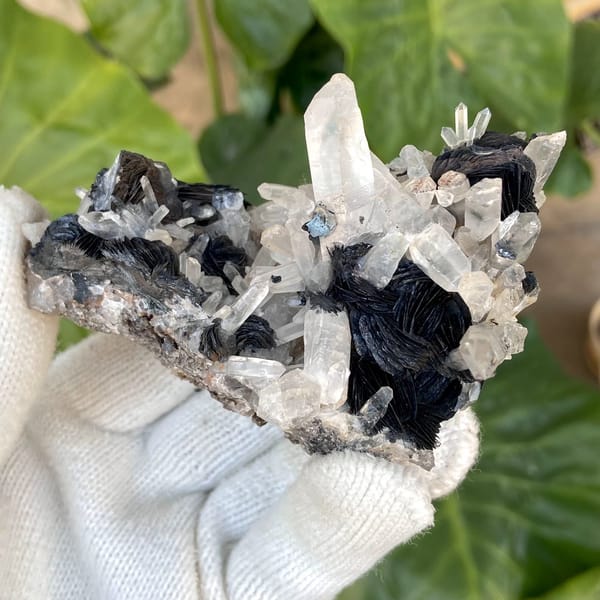 Black specular hematite rosettes with clear quartz prisms from Guangdong, China, view 2 of 9