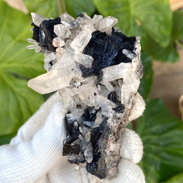 Black specular hematite rosettes with clear quartz prisms from Guangdong, China, view 3 of 9