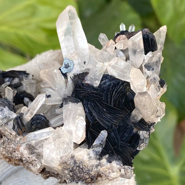 Black specular hematite rosettes with clear quartz prisms from Guangdong, China, view 4 of 9