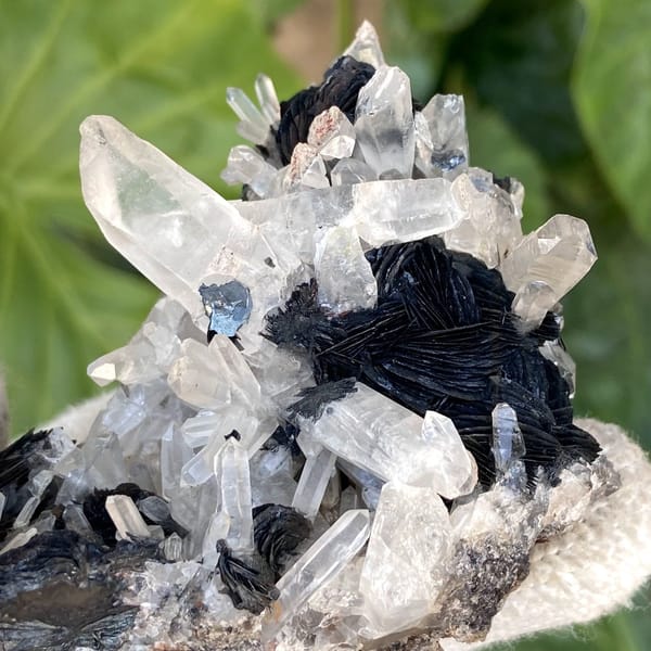 Black specular hematite rosettes with clear quartz prisms from Guangdong, China, view 7 of 9