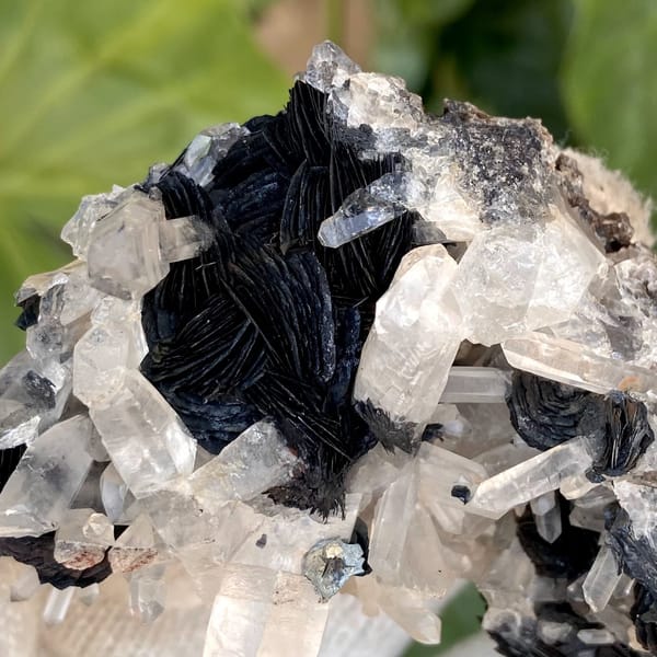 Black specular hematite rosettes with clear quartz prisms from Guangdong, China, view 9 of 9