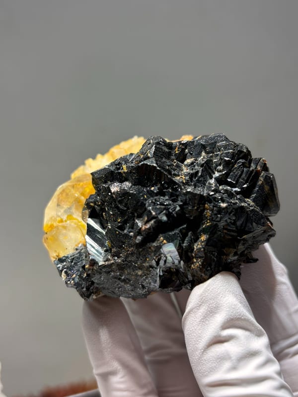 Black cassiterite plate with yellow aquamarine from Xuebaoding, Sichuan, China, held in gloved hand