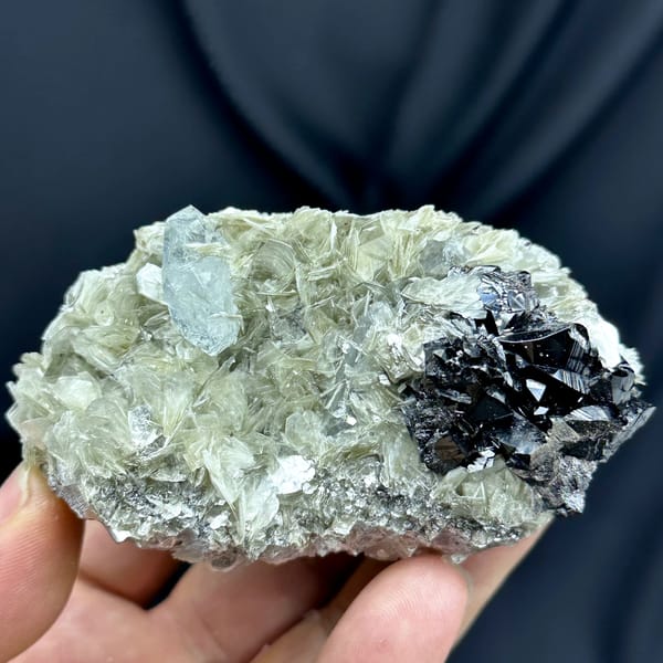 Black cassiterite and pale aquamarine prism on muscovite from Xuebaoding, Sichuan, China, top view